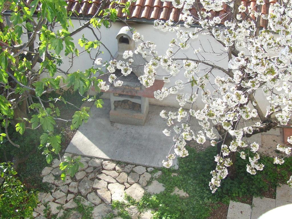 Villa Dalmatia Zadar Exteriör bild